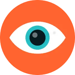 Our Vision